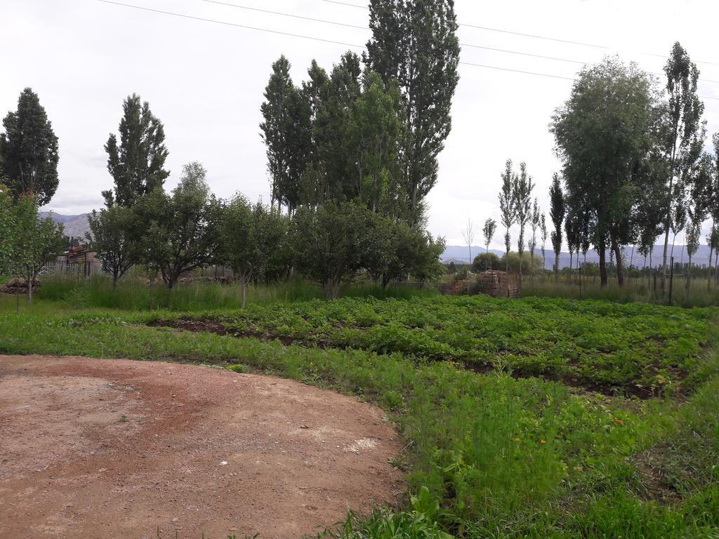 Guest House Baytur Kochkor Exterior foto